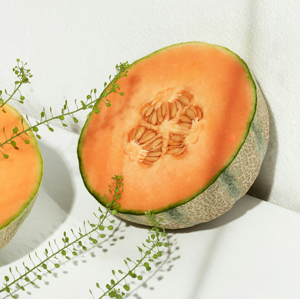 Melón